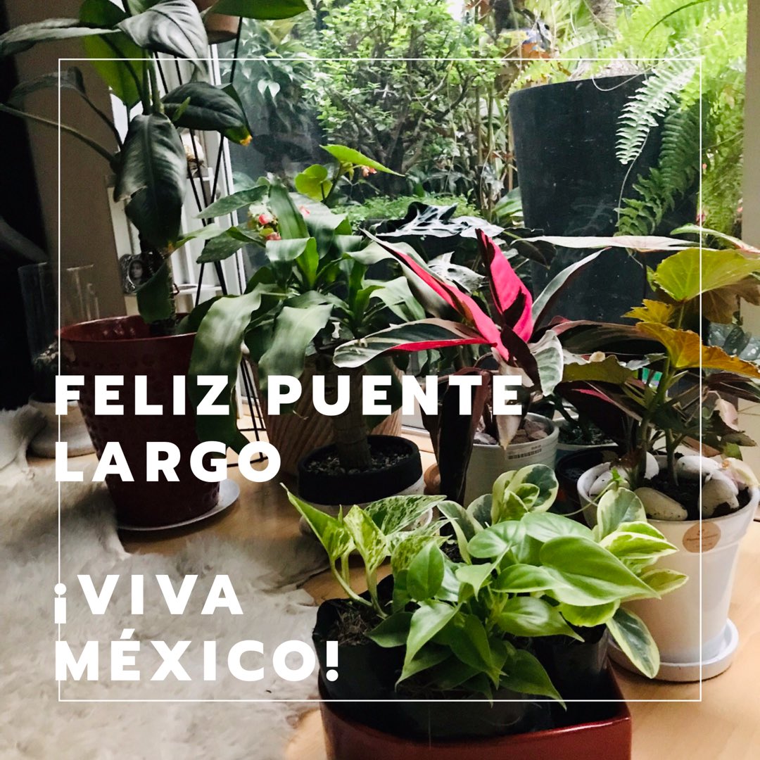PlantaCorazon's tweet photo. Dense un tiempo para contemplar la naturaleza. Feliz puente largo... https://t.co/yfDYAXuf1j