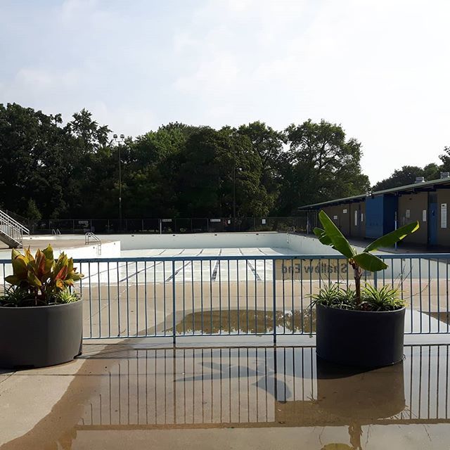 underleafdesign's tweet photo. This is a very clear sign of the shift in the seasons.

#pools #parks #landscape #landarch #landscapearchitecture #outdoorpool #monarchpark #toronto #seasons #uld #ULDwanders #underleafdesign #fallisaroundthecorner https://t.co/alSorVrLeB https://t.co/2rQbNXlTRI