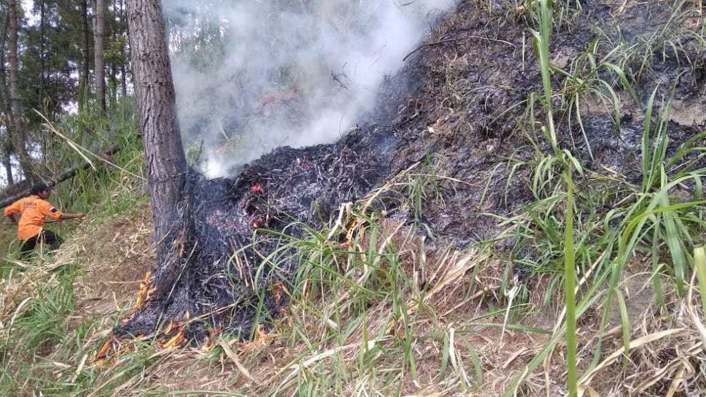BorobudurNews_'s tweet photo. Wow…Total Area Merbabu yang Terbakar Capai 260 Hektar https://t.co/hmBSLnc8PE https://t.co/t7RFex1PWN