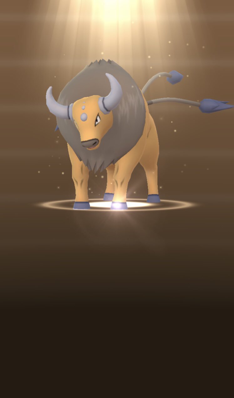 Ruri ポケモンgo 広島と福岡のタマゴからケンタロスとバリヤードお迎えできました 初ケンタロス 可愛いな W ケンタロスでちょうどタマゴわり500個達成 レイドでゲンガーを倒してみようとしたらレベル代の方も乗ってきてくれて無事プレゼント