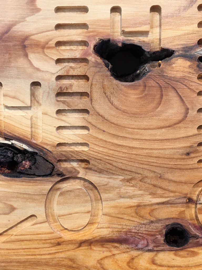 The last day of Landlines <a href="/RGS_IBG/">Royal Geographical Society (with IBG)</a> we’re open until 4pm #art #nature #environment #exhibition #london #landscape