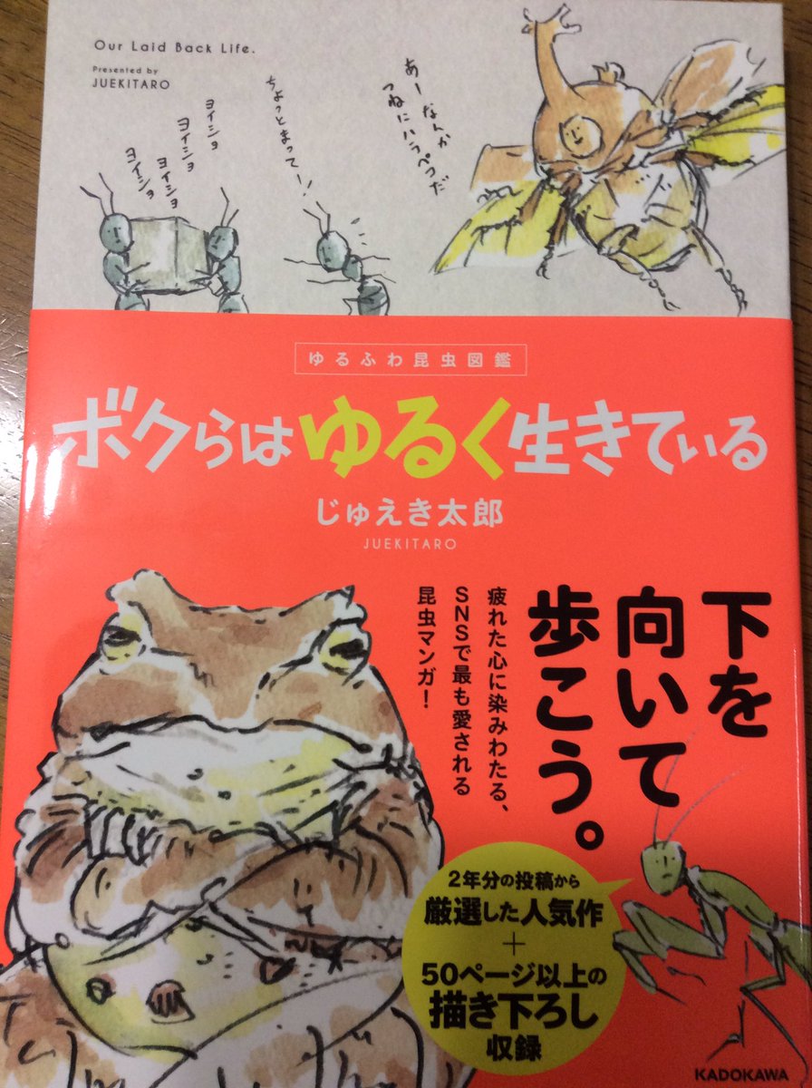 最近Twitter で知ってどハマり、ついに本買いました。
好きすぎる?
@64zukan @juekitaro 