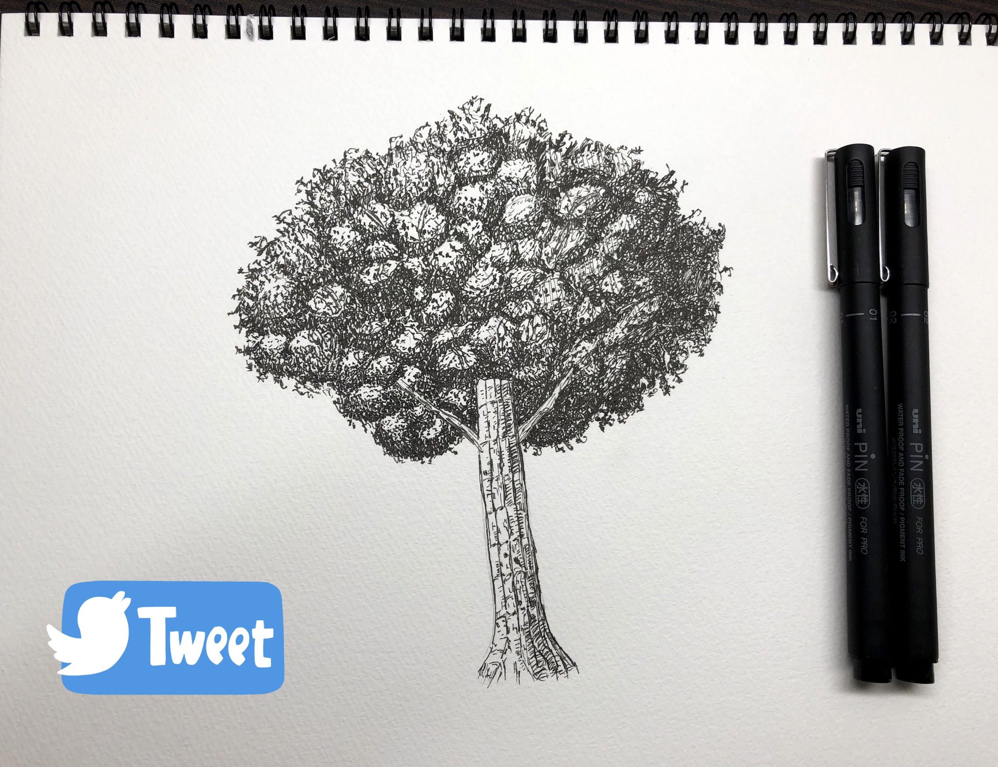 ぷいぷいぷいのすけ Ks Twitter