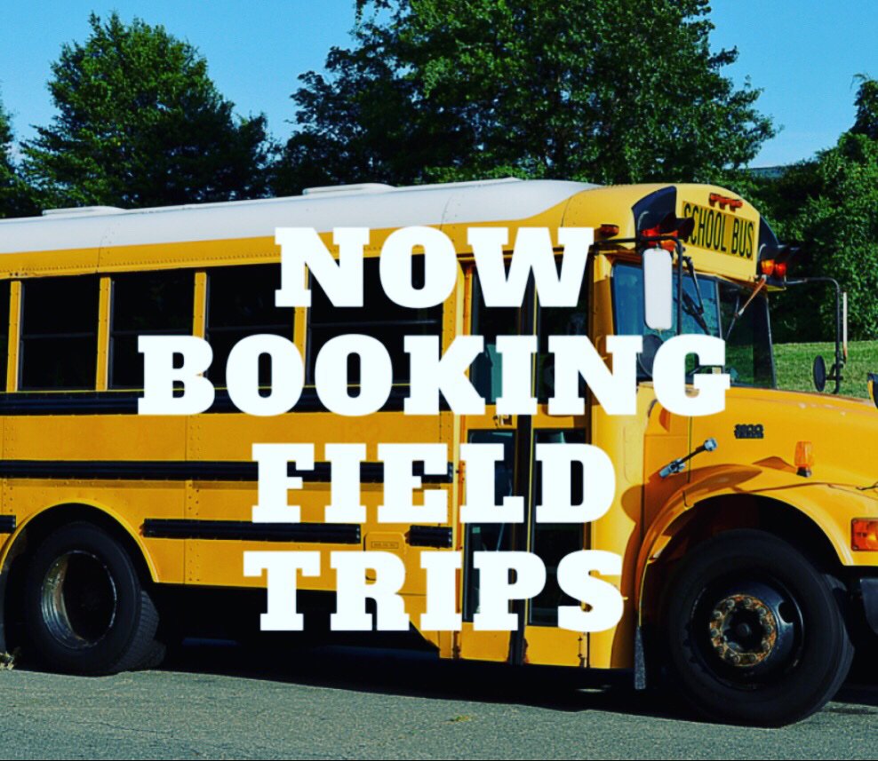 xtremeair1's tweet image. A day at Xtreme Air is a field trip like no other! Our staff is committed to making each field trip a memorable experience for students of all ages. Call 480.409.4555 for inquires and bookings TODAY! ✏️ #fieldtrip #fieldtrips #goodexercise #getupandplay #bestfieldtripever