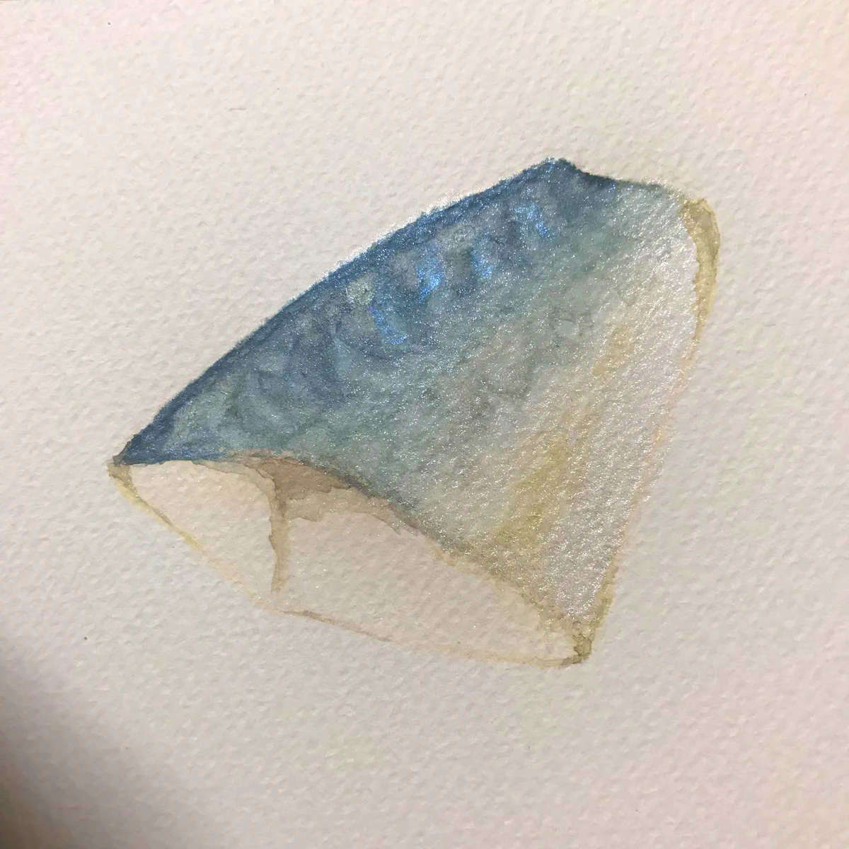 キラキラの絵の具で鯖の切り身を描いた結果？新鮮な鯖が描けた！