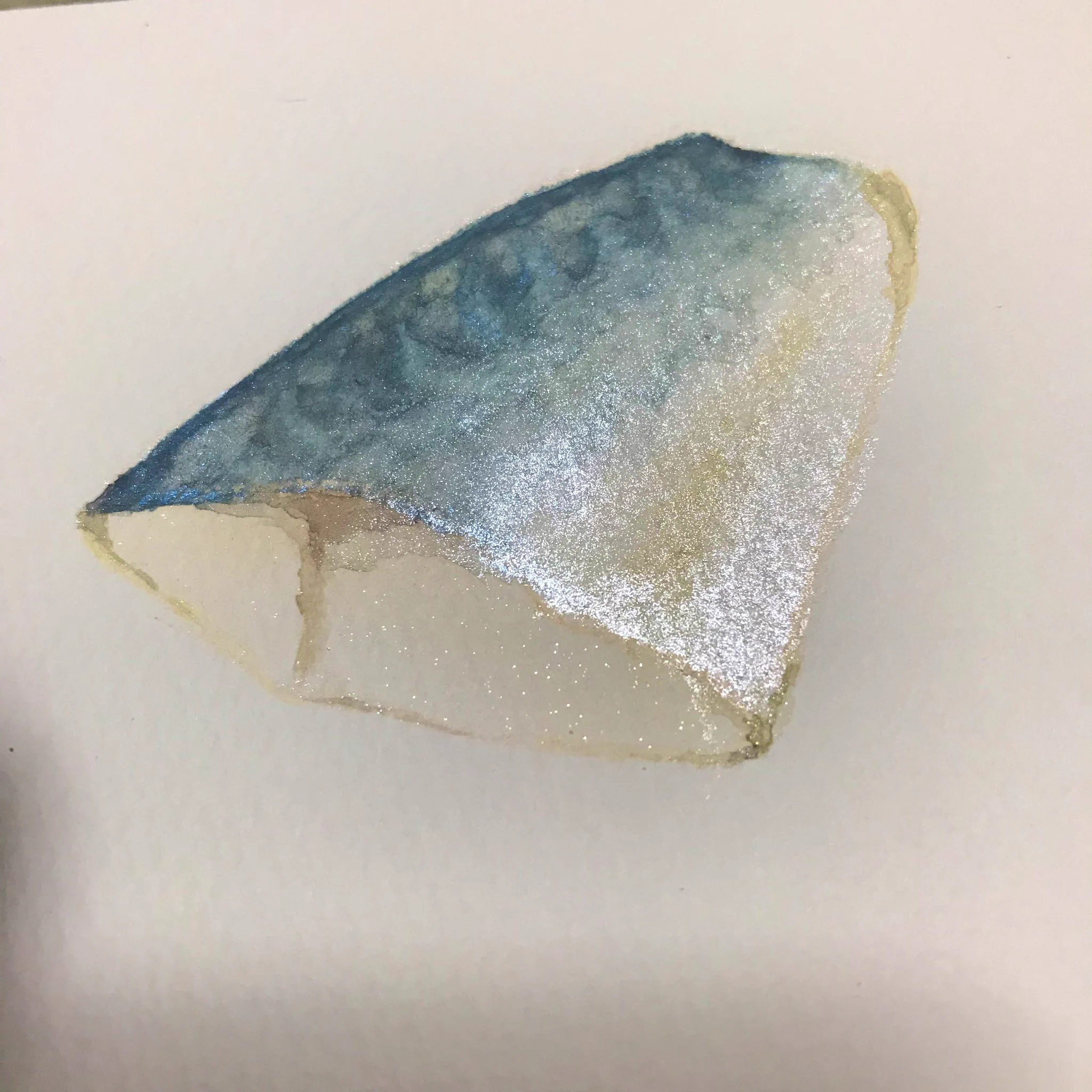 キラキラの絵の具で鯖の切り身を描いた結果？新鮮な鯖が描けた！