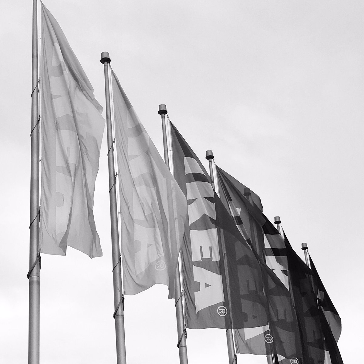 mobarrystirling's tweet photo. IKEA. Thank you for 5 yrs of incredible opportunities &amp; friendships. Thank you for the laughs &amp; memories. Thank you to everyone who gave me a reason to be excited to come into work every day. “How lucky I am to have something that makes saying goodbye so hard.” Much❤️@IKEACanada https://t.co/a1ppBQ63XZ
