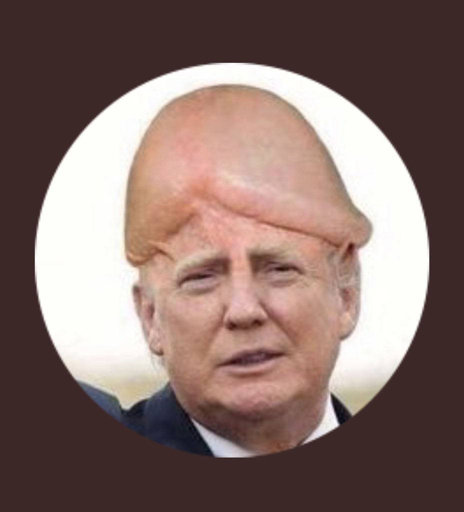 KarahBussey's tweet photo. @yokoboji As I look through my memes, this one always seems appropriate.
#DickheadDonald https://t.co/8N9vyGOtlz