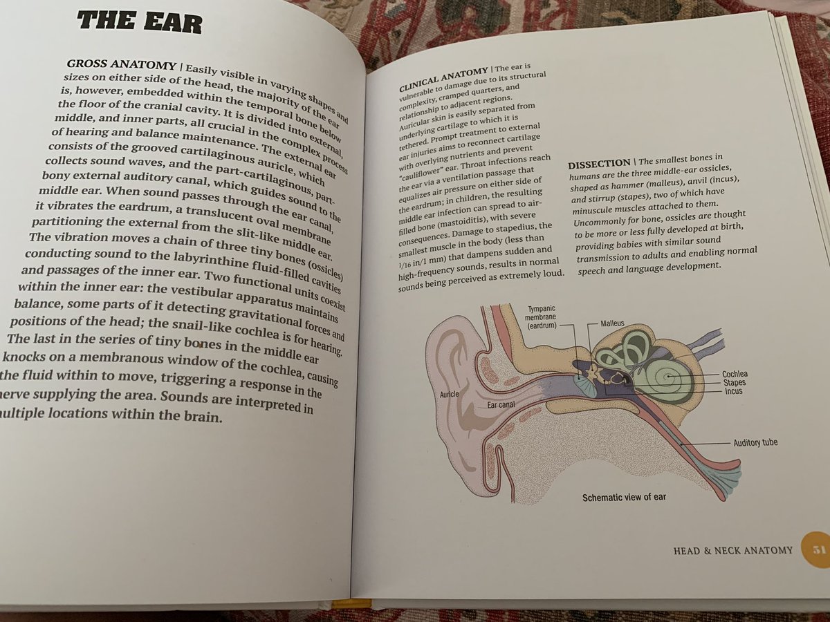 Joanna Matthan tweet media