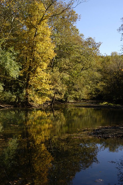 OHStateParks's tweet photo. The Little Miami Scenic River is a favorite in the fall. Have any plans to paddle it? #paddleohio #boatohio #ohiofindithere https://t.co/QpO6mZYRqh