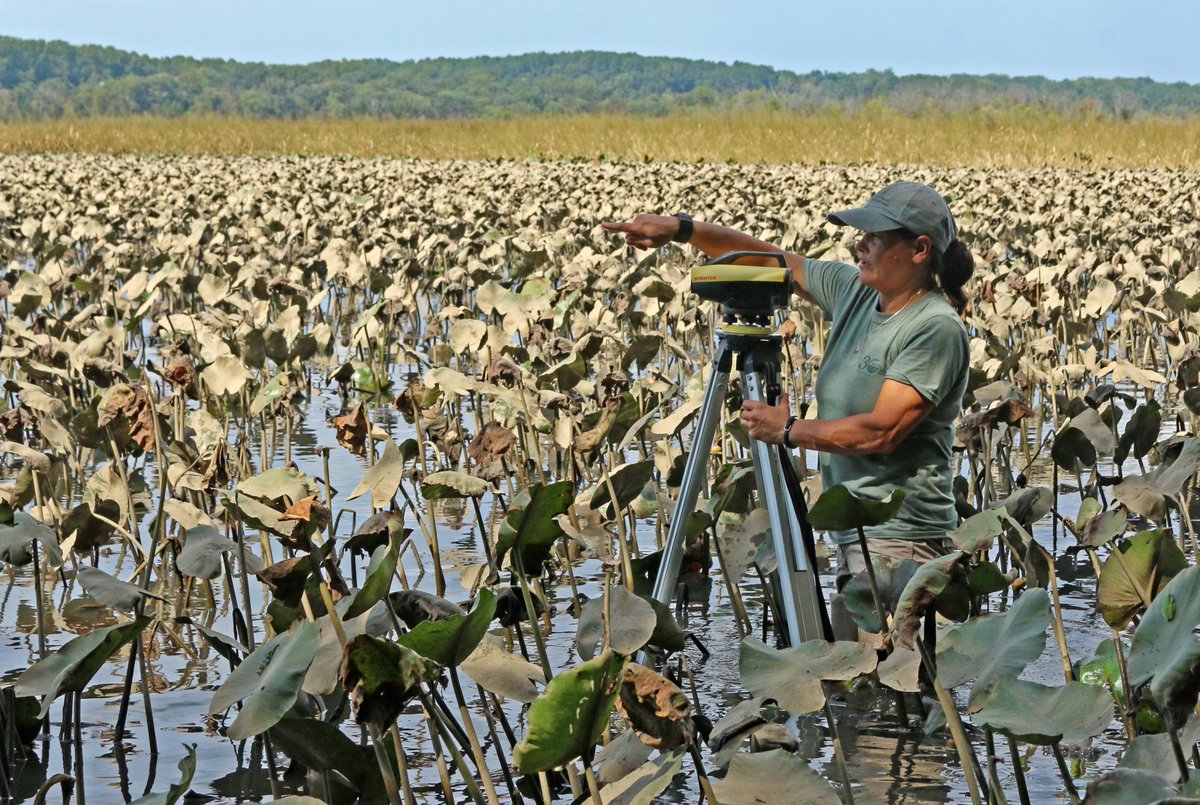 JugBayWetlandsSanct. tweet media
