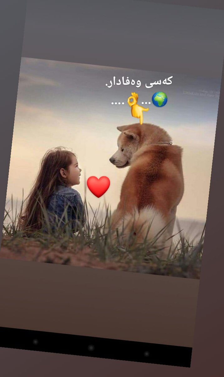 MirHiwa's tweet photo. #Kurdistan #kurd #Iraq #Iran #tahran🌍󾓩✔👌 https://t.co/ozJKhL4Grb