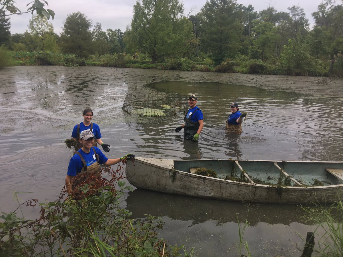 Removing invasive plant species at Kenilworth Aquatic Gardens with @missioncontinue and @NatlParkService. #unitedinservice