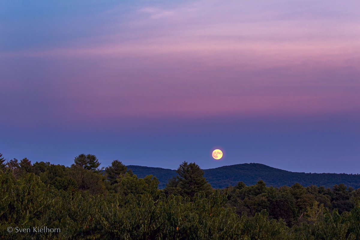 Full Harvest Moon rising at Park Hill Orchard, Easthampton tonight. © Sven Kielhorn <a href="/VisitMA/">Visit Massachusetts</a> <a href="/othersidema/">Hampshire County, MA</a>