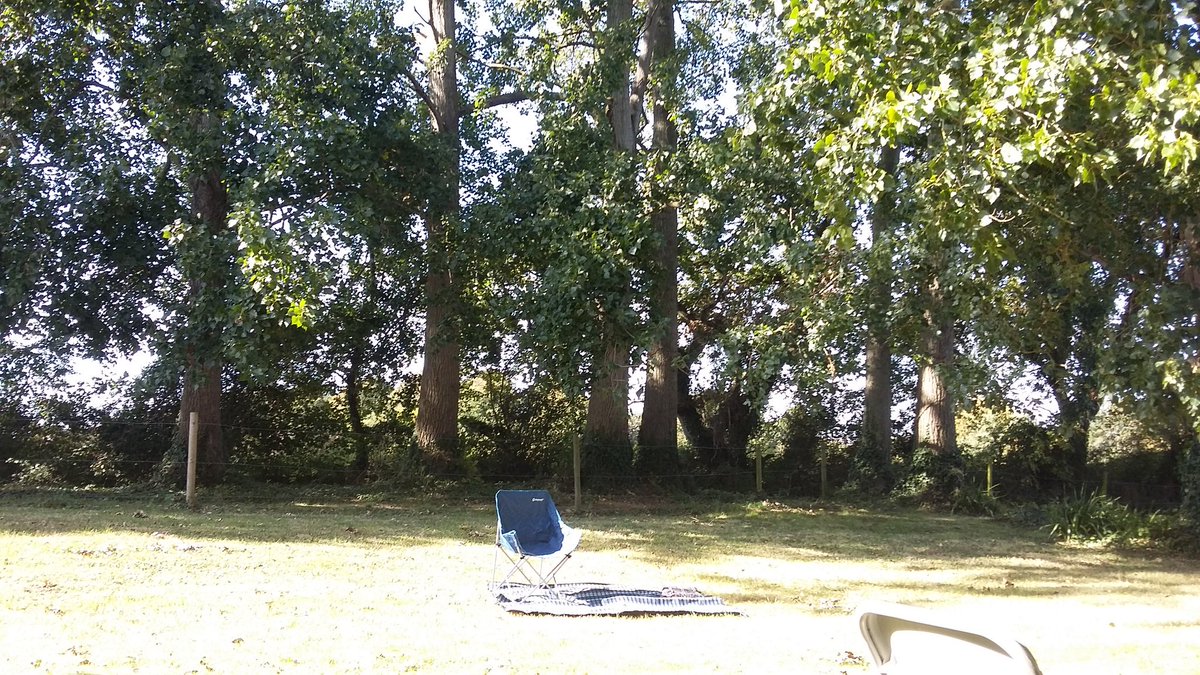 lagoon_sleepy's tweet photo. It's a lovely afternoon for a #picnic. Someone's saved their space nice and early. 🌳🌞 #Itchenor https://t.co/DFidNrPxaF