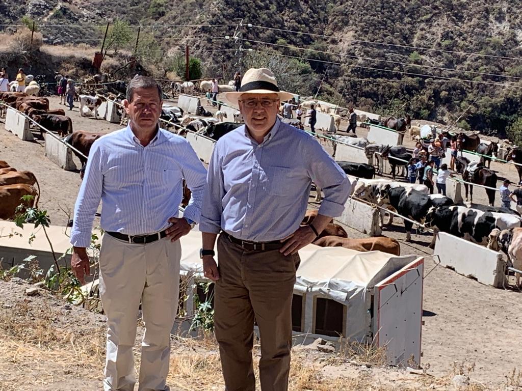 NC_CabildoGC's tweet photo. El presidente @AMoralesGC con el alcalde de #Tejeda Francisco Perera hoy en la #FeriadeGanado con motivo de las fiestas de #NuestraSeñoradelSocorro en el municipio cumbrero que sigue siendo uno de los #PueblosMásBonitosdeEspaña 

#GranCanariaLaIslaDeMiVida https://t.co/BEccwwXEk6
