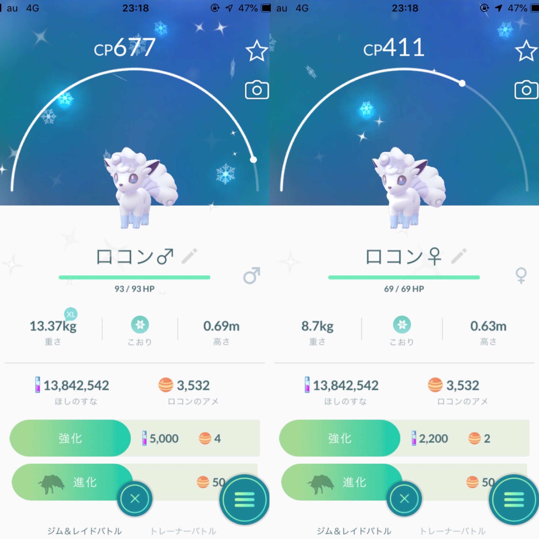 Rainbowsunrise 自宅付近でアロコン光る 揃いました アローラロコン色違い 確率は2分1ぐらい T Co 2mvrmhcikk Twitter