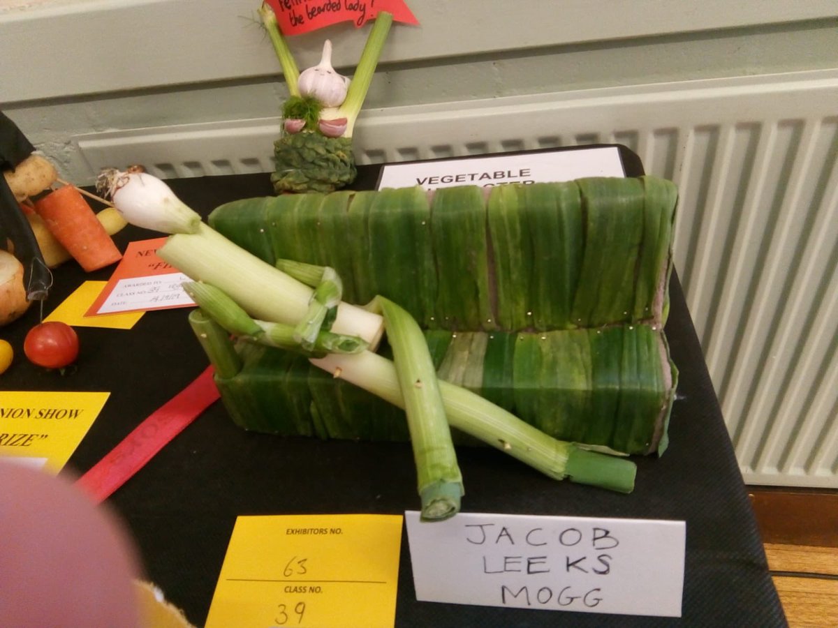 PaulDWebb1's tweet image. Second place in Newent Under 11s Creative Vegetable display. Genius.