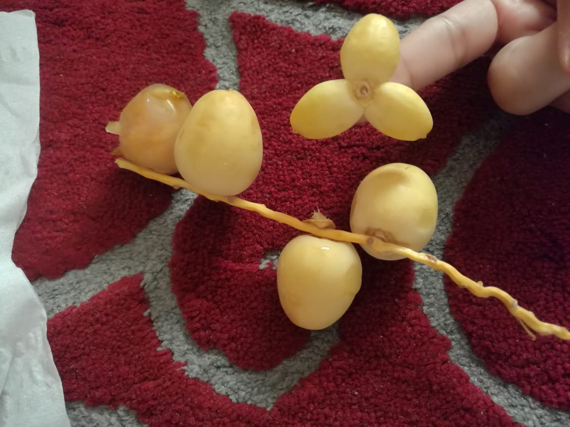 afffooofah's tweet image. شوفو اش طلعلي وانا اتقهوى الصباح مع أمي
😁♥️Dates Mitsubishi logo
See What I got this morning when I was having food with my mom
@mitsubishiksa
@mitsucars
@MitsubishiAust
@MitsubishiUK
@Mitsubishi_ID
@MitsubishiCAN
@Mitsubishi_ES