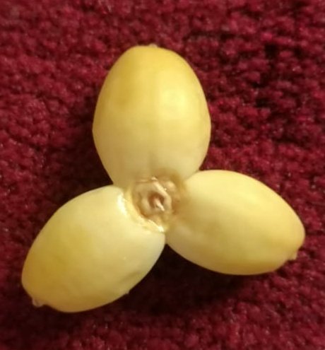 afffooofah's tweet image. شوفو اش طلعلي وانا اتقهوى الصباح مع أمي
😁♥️Dates Mitsubishi logo
See What I got this morning when I was having food with my mom
@mitsubishiksa
@mitsucars
@MitsubishiAust
@MitsubishiUK
@Mitsubishi_ID
@MitsubishiCAN
@Mitsubishi_ES