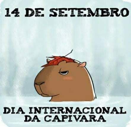 CapCut_dia internacional da capivara