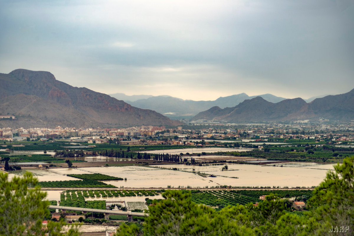 MeteOrihuela tweet media