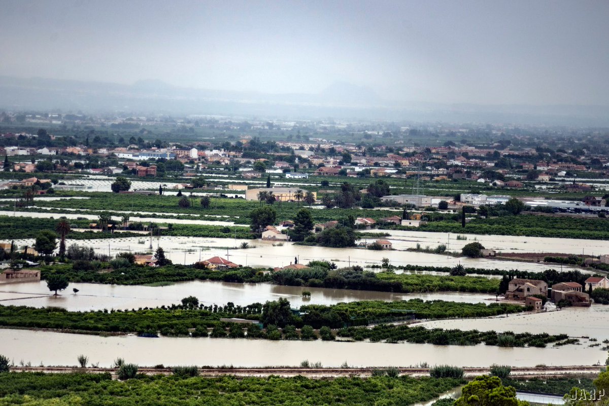 MeteOrihuela tweet media