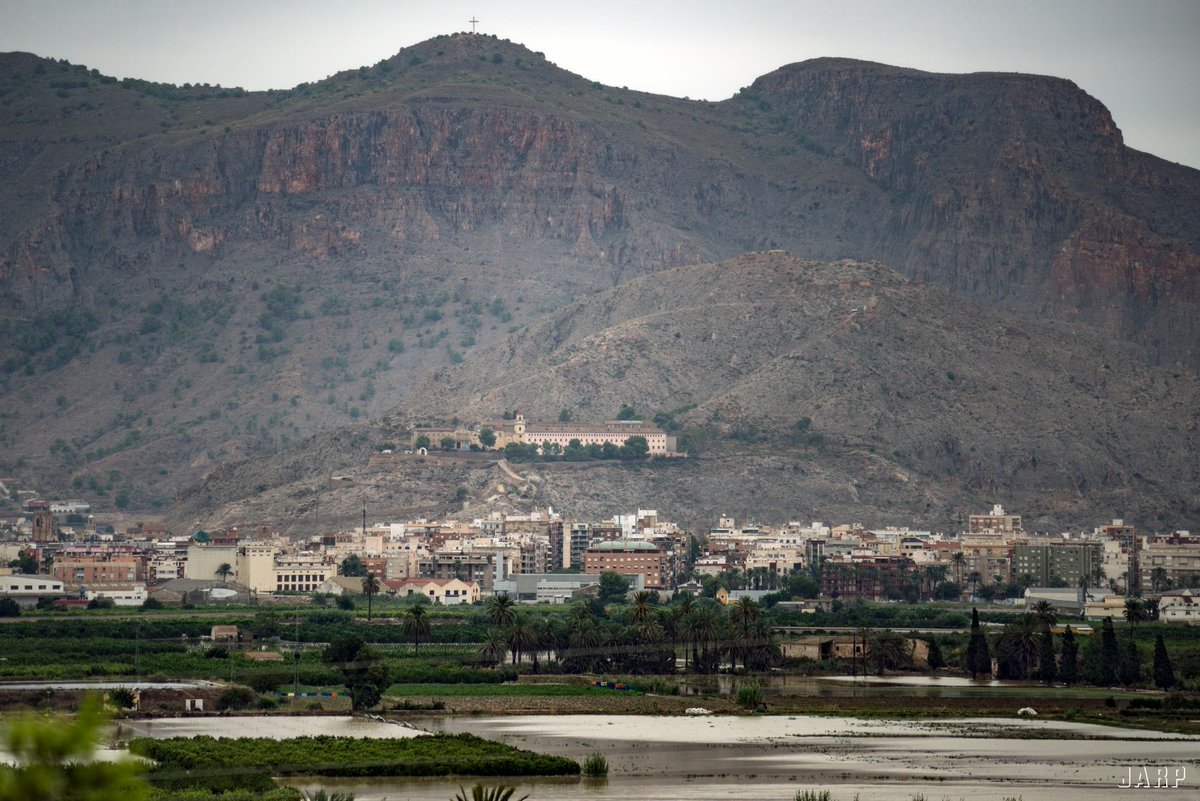 MeteOrihuela tweet media
