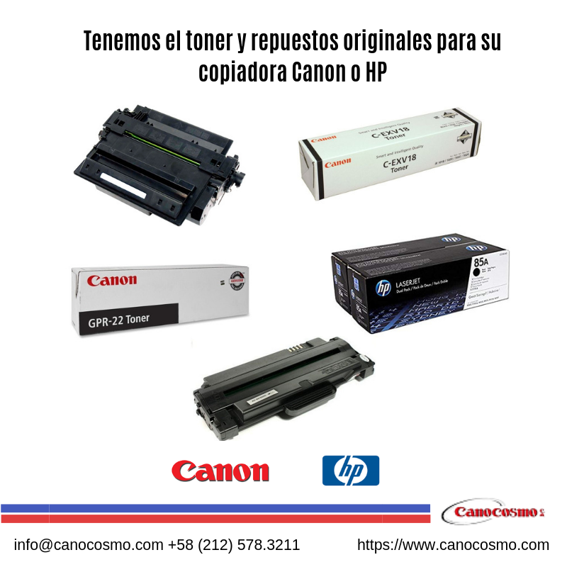 Canocosmo1 tweet media