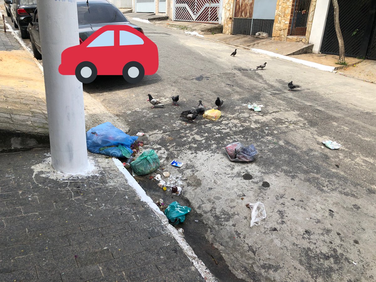 Marcelo Honda tweet media