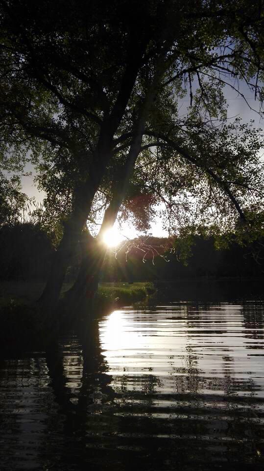 Un weekend di sole ed altre piacevoli energie qui alla Tenuta. Vi aspettiamo!