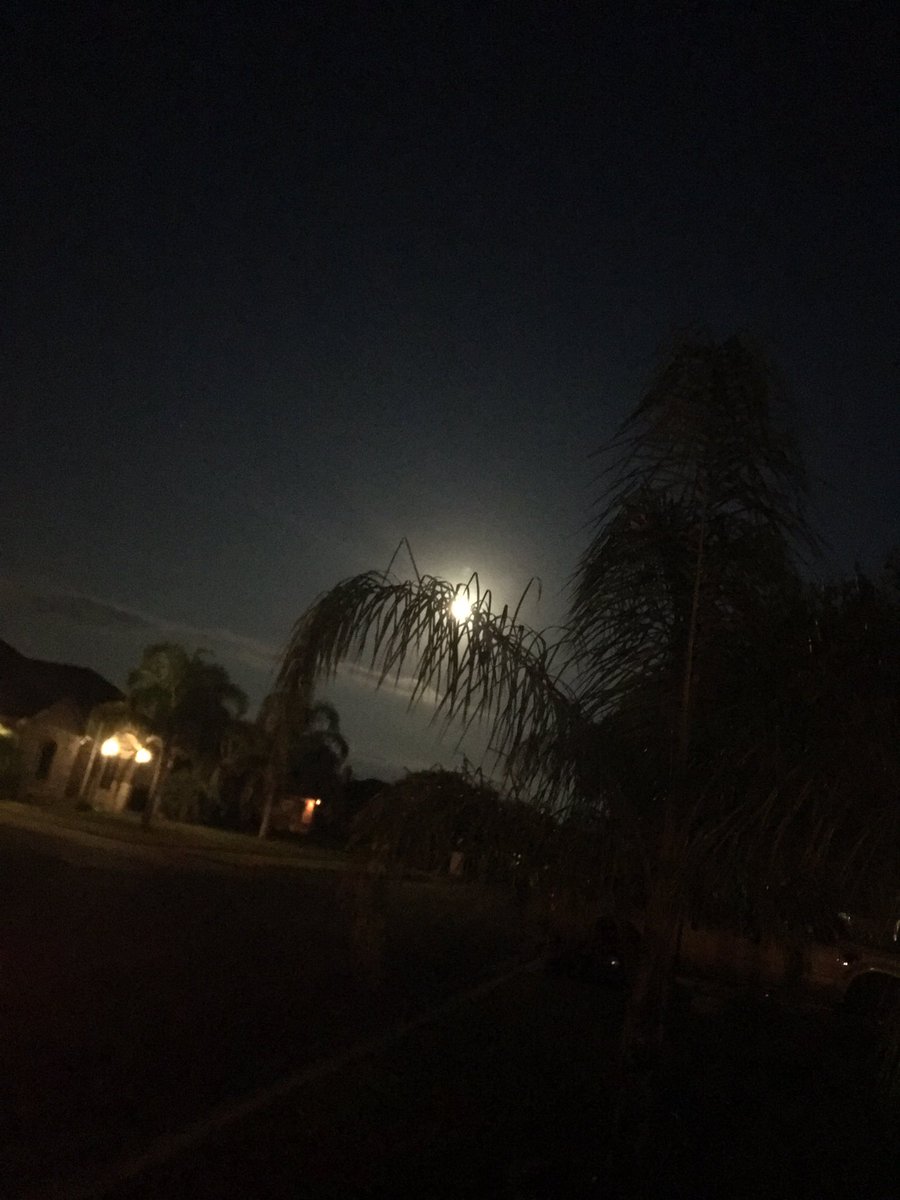 Dr_V_Lucy's tweet image. #SaturdayMorning run with my girl Jenny #4milesdown #6amrun #Fitnessedu #feelingood #fitleaders #runandrant #SaturdayVibes #SaturdayMotivation #saturday