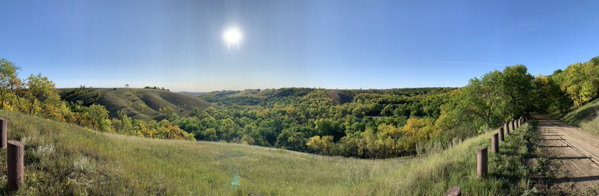 joshnicoletti10's tweet photo. I love this place https://t.co/OWIXtzRXWn