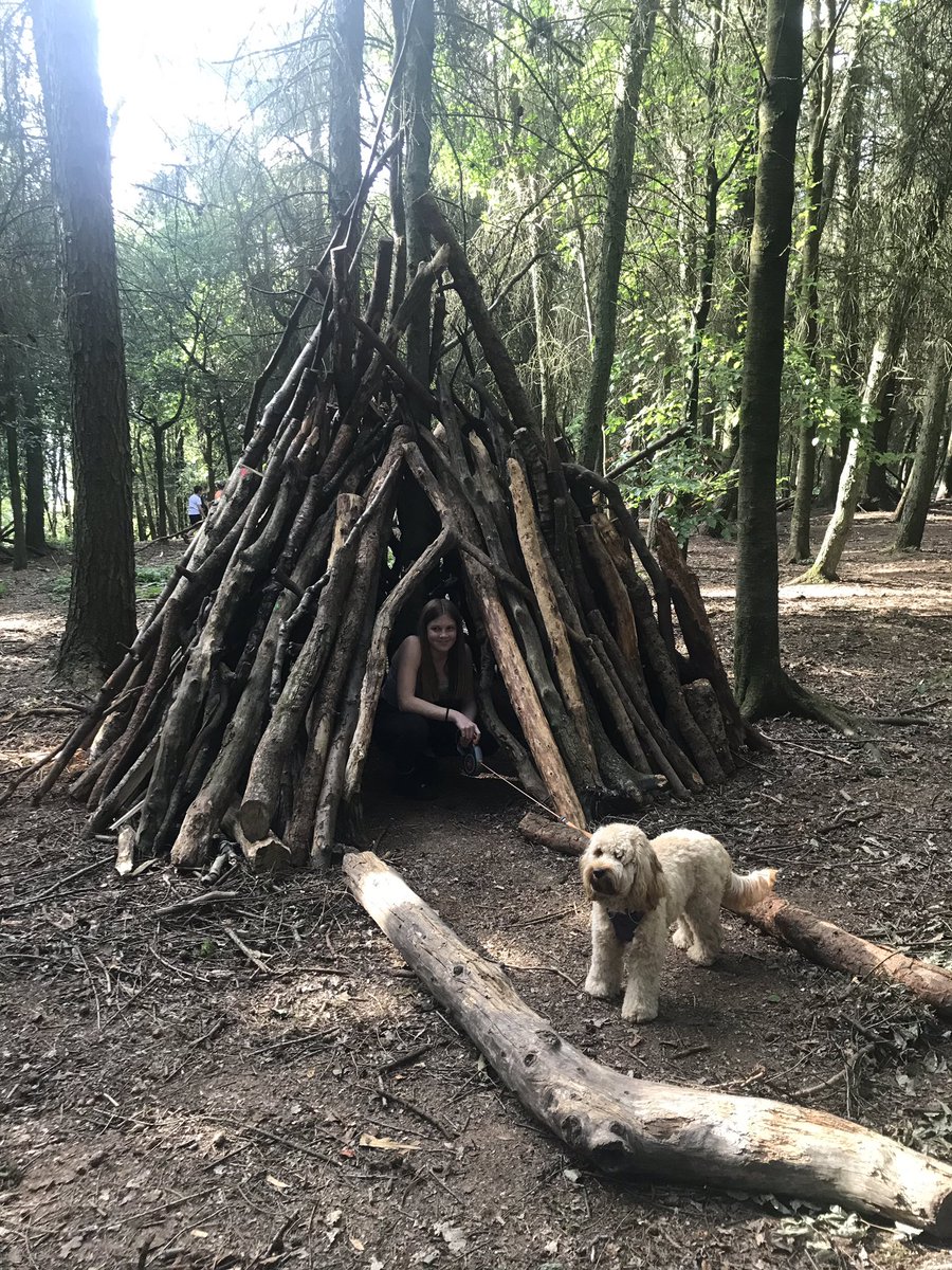 CockapooMaeve's tweet image. Den building in the woods