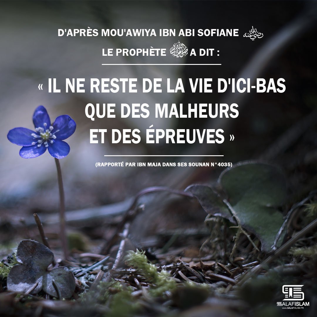 Salafislam Fr D Apres Mou Awiya Ibn Abi Sofiane Le Prophete ﷺ A Dit Il Ne Reste De La Vie D Ici Bas Que Des Malheurs Et Des Epreuves Islam Sounnah Salafislam Ici Bas Malheurs Salafislam Fr D Apres Mou Awiya Ibn Abi Sofiane Le Prophete ﷺ A Dit Il Ne Reste De La Vie D Ici Bas Que Des Malheurs Et Des Epreuves Islam Sounnah Salafislam Ici Bas Malheurs