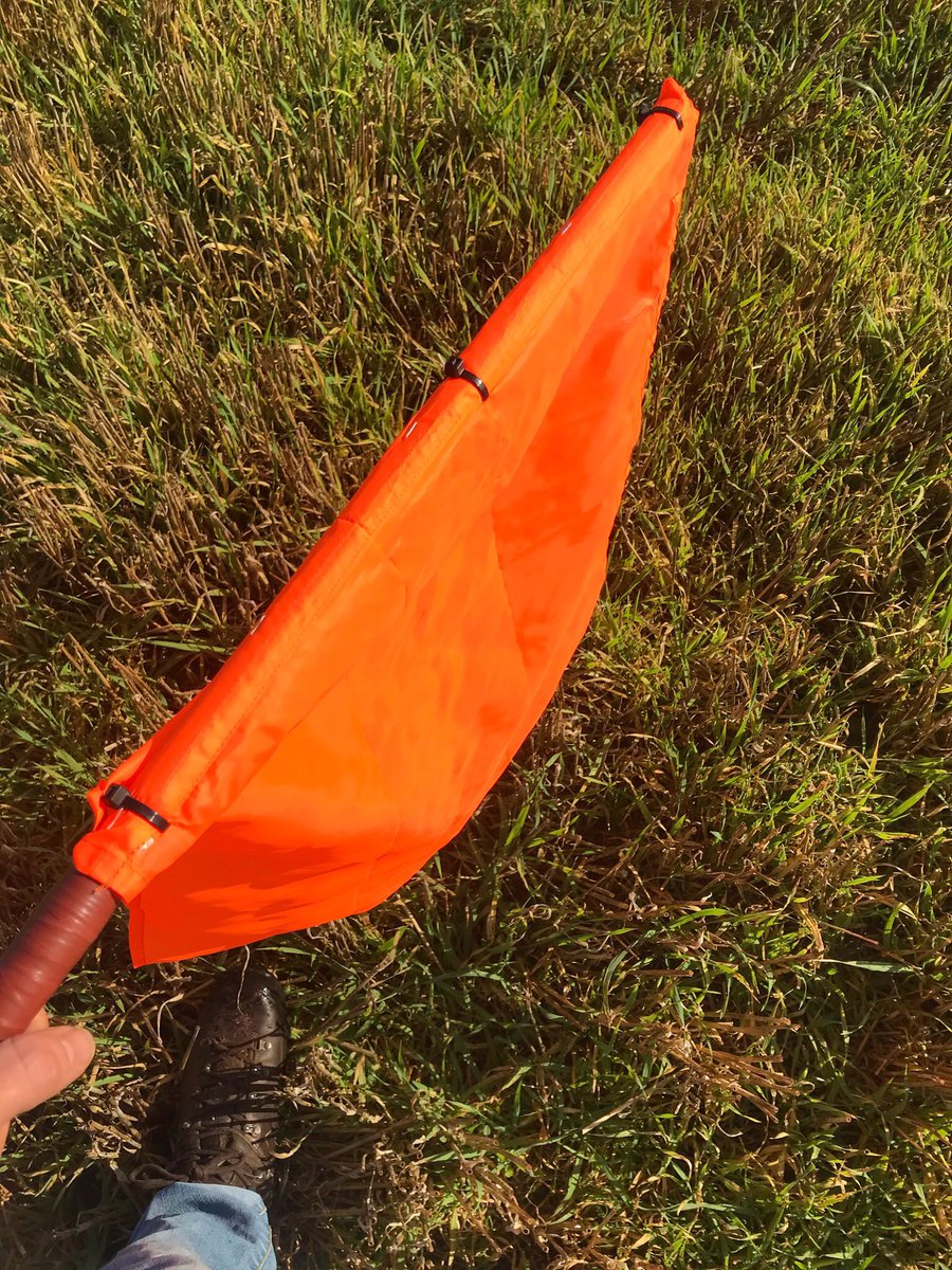 claphands85's tweet photo. First day beating today , didn’t feel much like shooting season in this weather though 😎 #Fieldtofreezer... #freerangefood #tweetthebeat https://t.co/GeOiuojXbg
