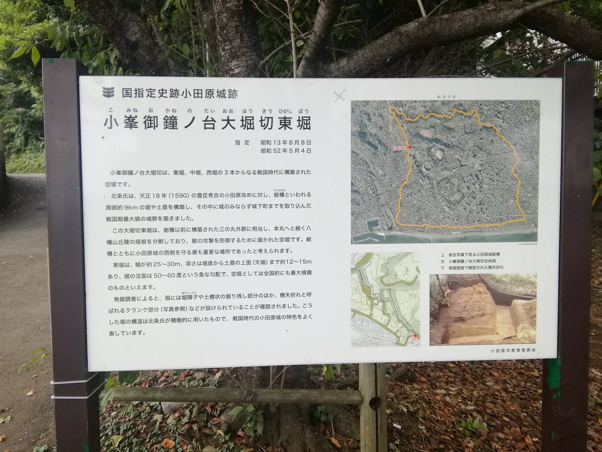 下流 小峯御鐘ノ台大堀切東堀 ここは凄い めっちゃ興奮した O O O O 小田原城 日本100名城 総構 小峯御鐘ノ台大堀切
