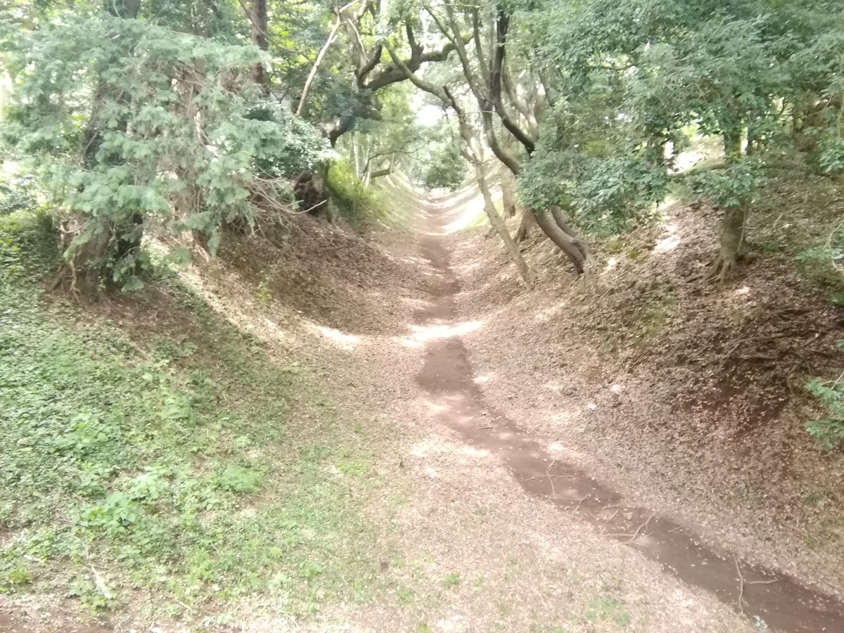 下流 小峯御鐘ノ台大堀切東堀はマジで凄い O O O O いくら20万の軍勢でも跳ね返すでしょ 秀吉が力攻めしていたら 歴史は変わったんじゃないかな 小田原城 日本100名城 小峯御鐘ノ台大堀切