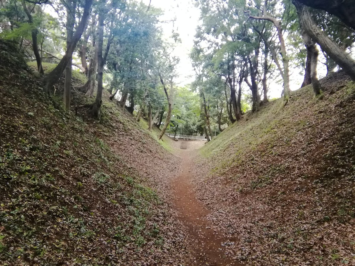 下流 小峯御鐘ノ台大堀切東堀はマジで凄い O O O O いくら20万の軍勢でも跳ね返すでしょ 秀吉が力攻めしていたら 歴史は変わったんじゃないかな 小田原城 日本100名城 小峯御鐘ノ台大堀切