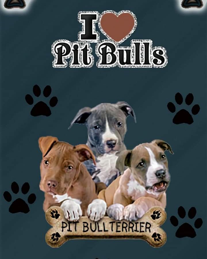 Do you love pitties?
#superproudpittyparents #superproudpittyparent #proudpittyparents #proudpittyparent #proudpittymom #proudpittydad #pitbullsforlife #pitbullpassion #pitbullstrong #pittylove #pitsofinstagram #pitbullsofinstagram #beautifulpitbulls