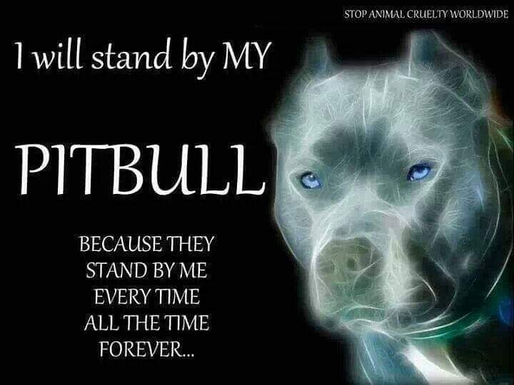 Amen!!
#superproudpittyparents #superproudpittyparent #proudpittyparents #proudpittyparent #proudpittymom #proudpittydad #pitbullsforlife #pitbullpassion #pitbullstrong #pittylove #pitsofinstagram #pitbullsofinstagram #beautifulpitbulls