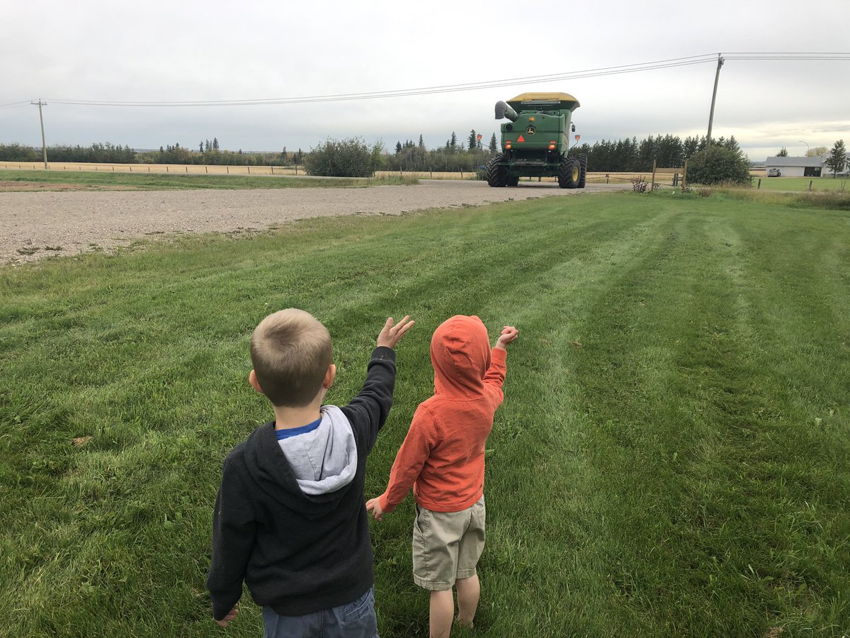 Hoping to get back out to the field today to continue with #harvest19 First we had to help Grandpa take the header off for transport!
