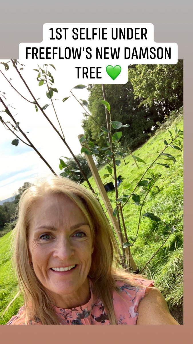 McginnEdel's tweet photo. What a memorable afternoon spent at The Orchard at Wood End helping to celebrate my friend &amp; clinical supervisors 60th birthday &amp; her new therapeutic woodland project 💚

I planted some beautiful plants  &amp; a damson tree on  behalf of my charity, Freeflow Counselling Service 💚 https://t.co/cMugWlKCmH