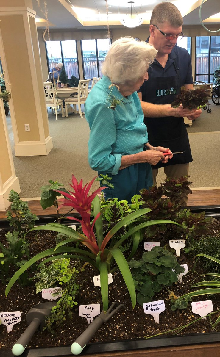 Eldergrow tweet media