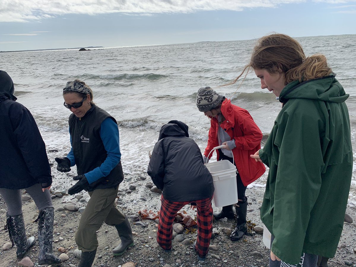 Seaweed classification, now back to the mainland! <a href="/StFXOCSB/">St. Francis Xavier High School</a> @HuntsmanEdDept <a href="/ImmaculataOCSB/">Immaculata High School</a> <a href="/StMarkOCSB/">St. Mark High School</a> #whymac