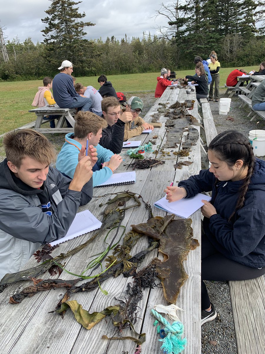JordanTSimard's tweet photo. Seaweed classification, now back to the mainland! @StFXOCSB @HuntsmanEdDept @ImmaculataOCSB @StMarkOCSB #whymac https://t.co/riH96gnG8a