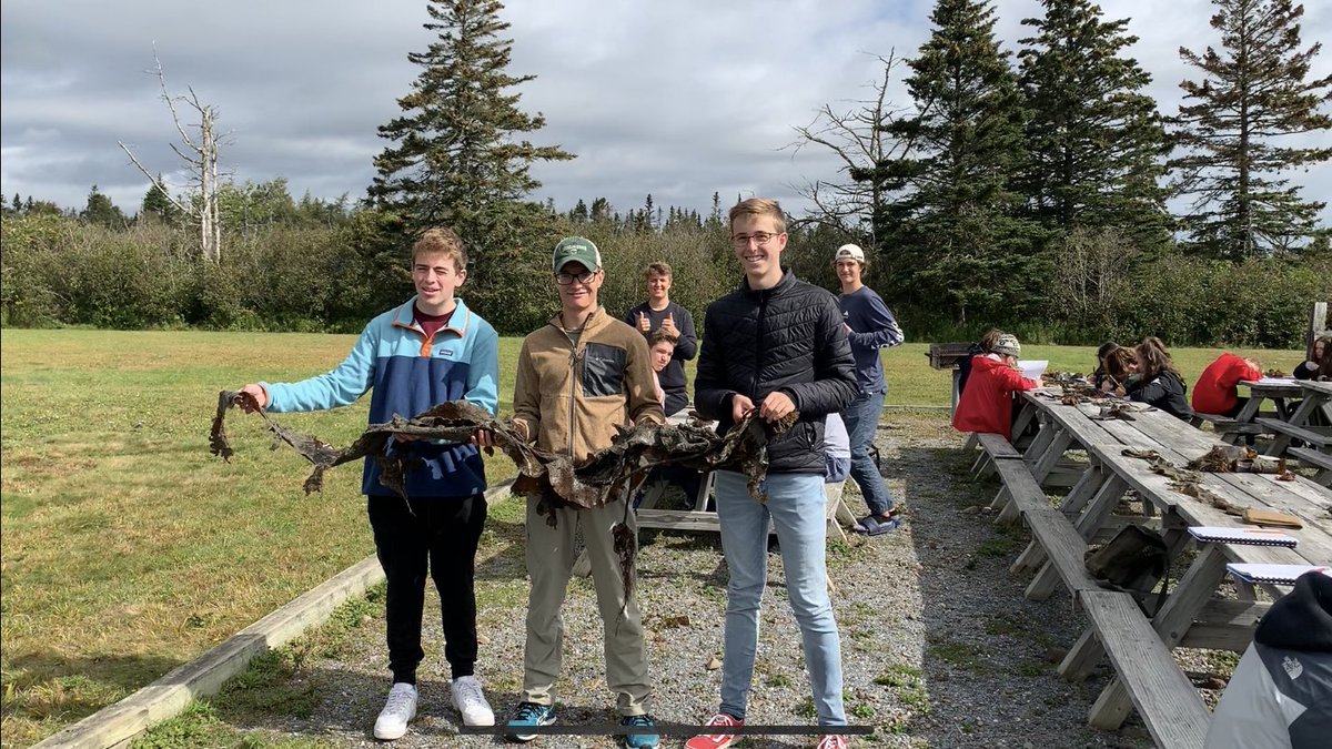 JordanTSimard's tweet photo. Seaweed classification, now back to the mainland! @StFXOCSB @HuntsmanEdDept @ImmaculataOCSB @StMarkOCSB #whymac https://t.co/riH96gnG8a