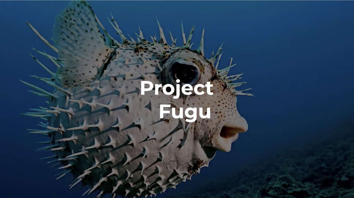 felipenmoura's tweet photo. A quem interessar possa...
meus slides na #BrazilJS #OnTheRoadCuritiba sobre PWAs e tecnologias Web + Project Fugu
#feedbackIsWelcome
https://t.co/kEp9f2YDM4 https://t.co/blnggGv3kV