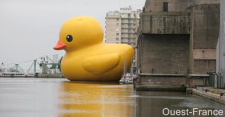 Gnagnagna35's tweet photo. @1prof2lettres Alors que le canard géant ça passe 😇 #2poids 2mesures https://t.co/RiLLfPRVUt