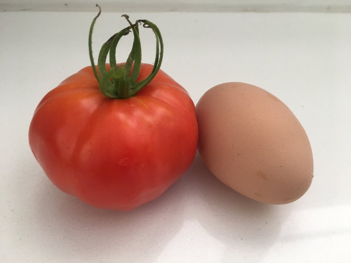 GuidedExp's tweet image. You could teach somebody to garden and get paid. Make an experience out of it! How about canning classes? We will show where to post it. #garden #gardening #gardeningtips #gardeningideas #gardencooking #canning #homecanning #jars #motherearthnews #tomato #egg #pastureraised